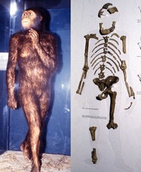 人类学家公布的一项研究强烈质疑露西作为人的猿类祖先的身份