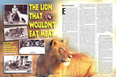 不吃肉的狮子