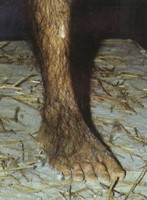 露西这种按进化论的思维复原的脚并不是基于真实的化石