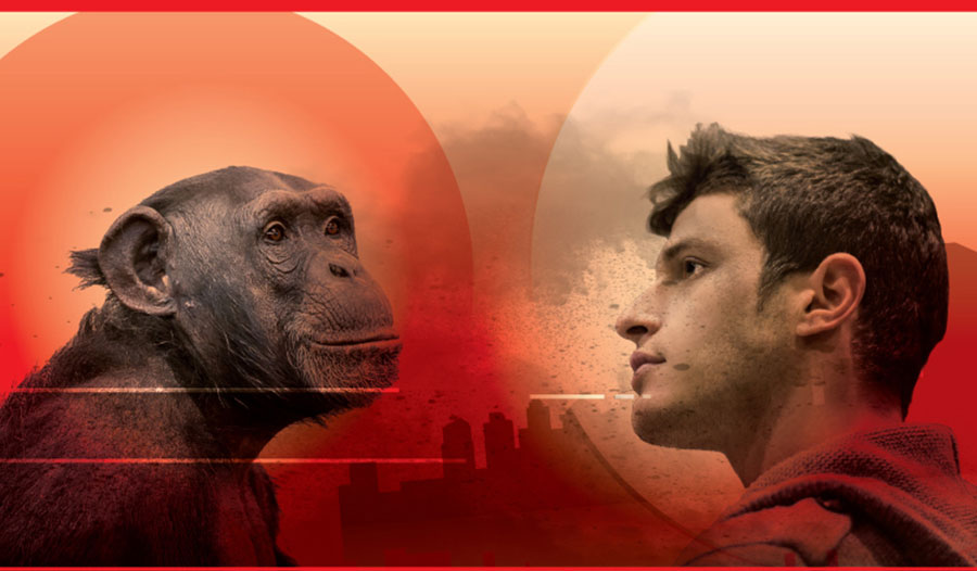 猿猴进化成人的神话