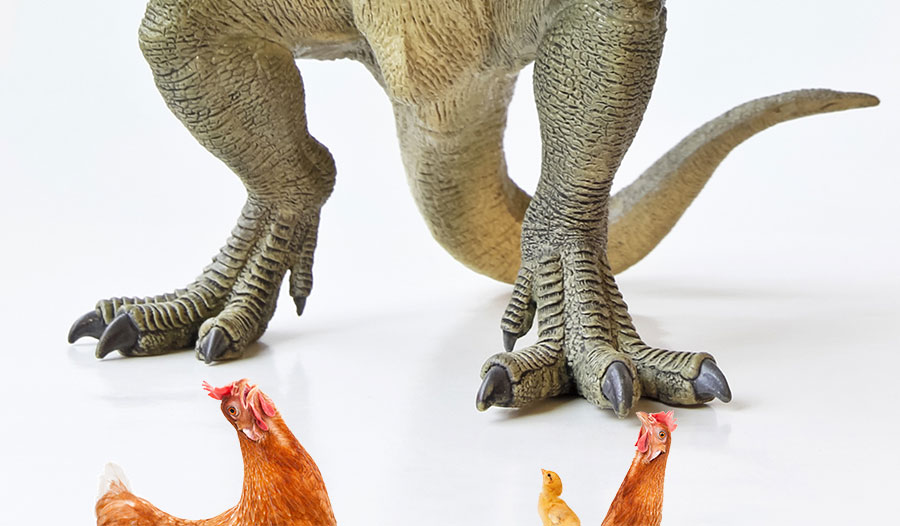恐龙到底有多大？