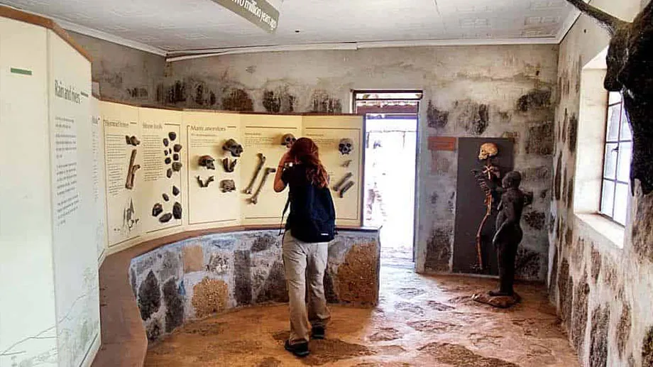 Koobi博物馆展出出土的化石