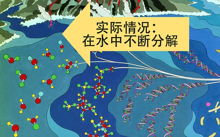 生物分子在水中不断分解