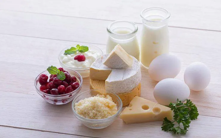 蛋白质的生产只能依靠生命体