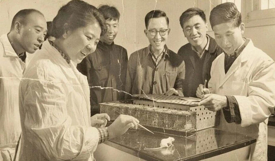 我国合成蛋白质的重大突破，更表明生命来自创造