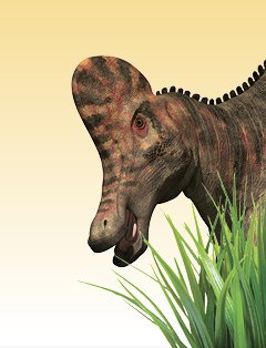 恐龙吃草吗？