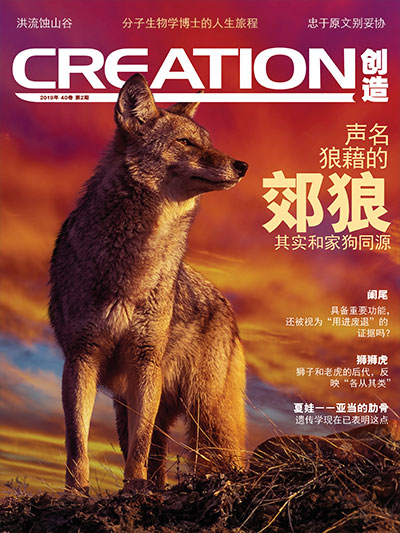 Creation-402-cover