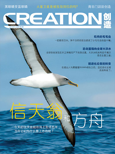 Creation-403-cover