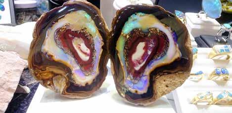 乳白化菠萝 乳白化菠萝