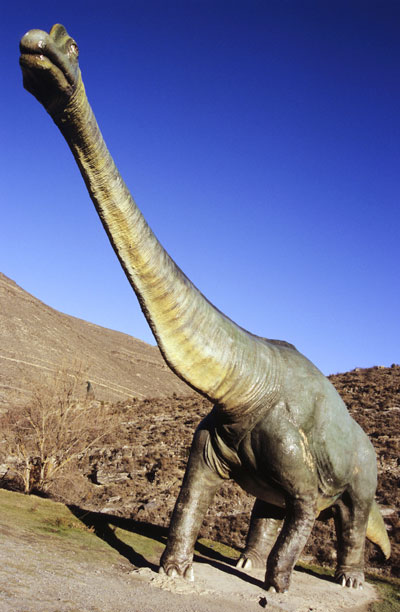 巨型恐龙 巨型恐龙