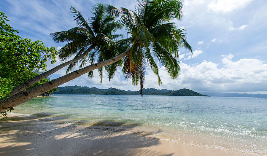 大陆边缘于洪水后期迅速形成 大陆边缘于洪水后期迅速形成