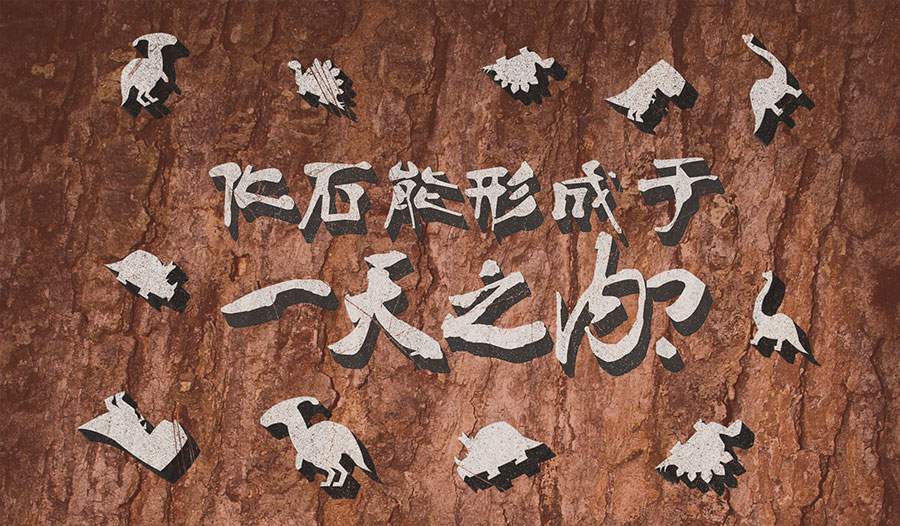 化石形成于一天之内？