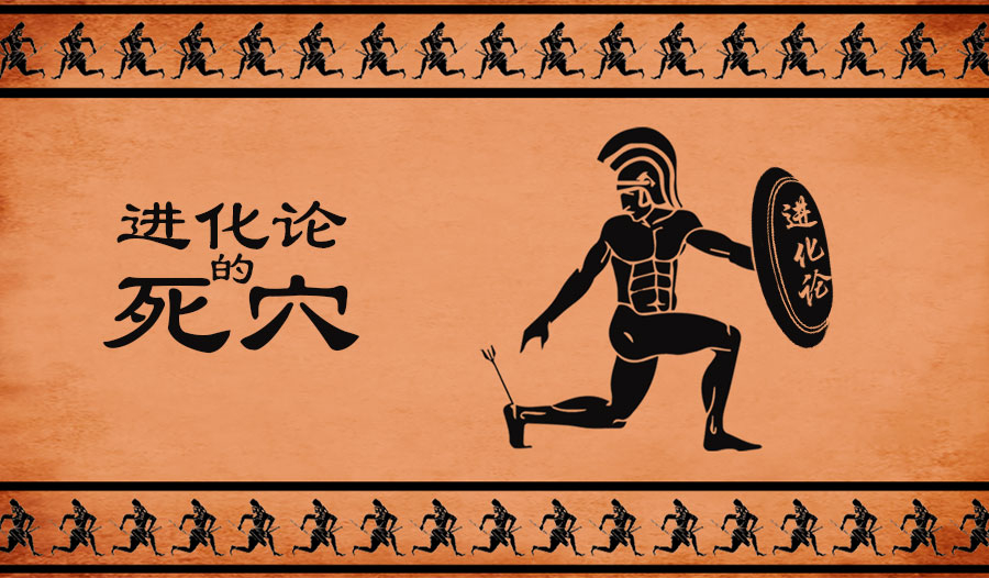 进化论的死穴
