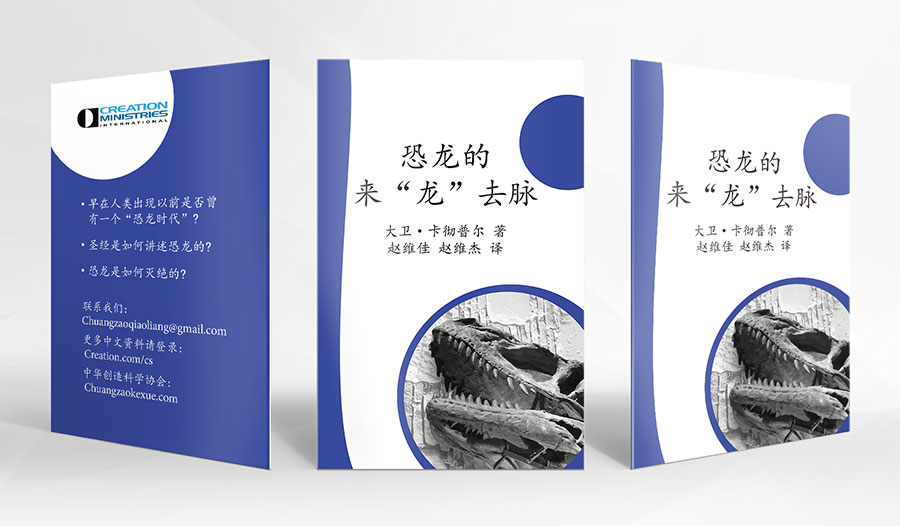 恐龙的来“龙”去脉