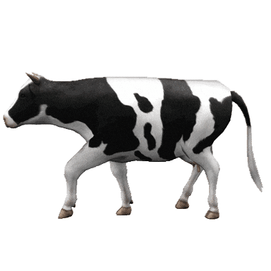 牛的摆尾方式 牛的摆尾方式