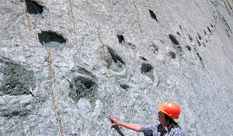 巨大的崖壁和数以百计的恐龙脚印 巨大的崖壁和数以百计的恐龙脚印