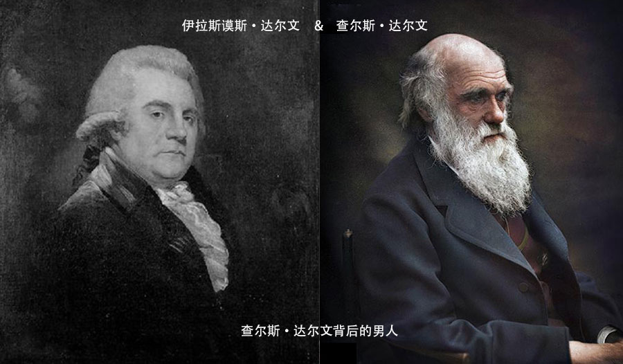 伊拉斯谟斯·达尔文 伊拉斯谟斯·达尔文