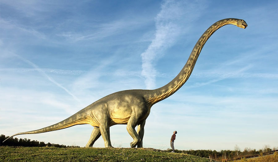 恐龙如何长得这么大？