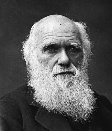 查尔斯·达尔文 查尔斯·达尔文