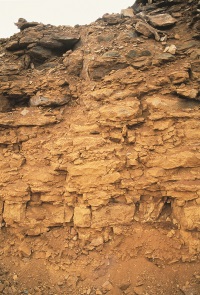 南墙采石场的近距离视图显示了泥灰岩层顶部的氧化石灰岩