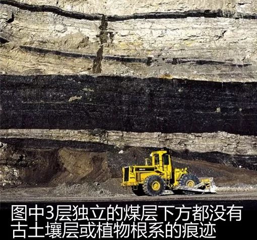 煤层下方没有古土壤层