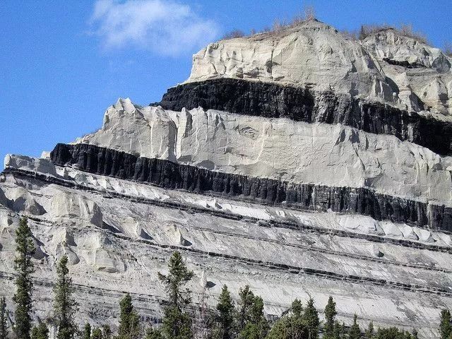 沉积岩与煤的形成