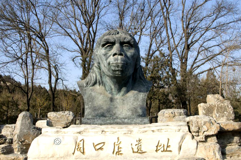 北京人 不是原始的猿人 而是技术达人