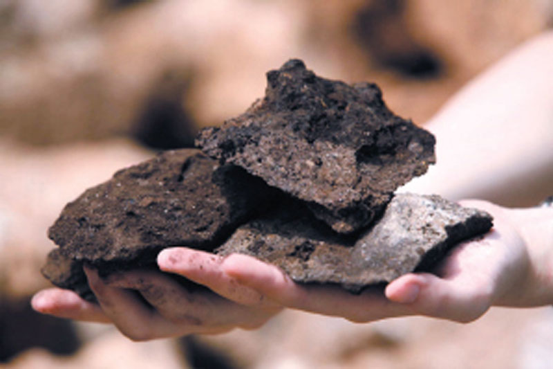 含灰烬炭屑的沉积物是北京人用火的坚实证据