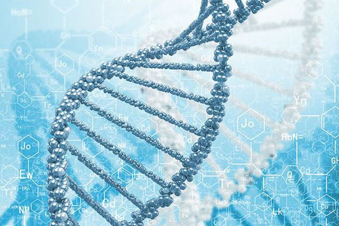 目前没有发现任何人类行为是基因决定
