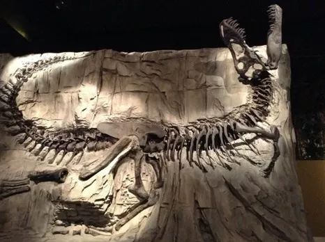 恐龙被快速掩埋形成化石