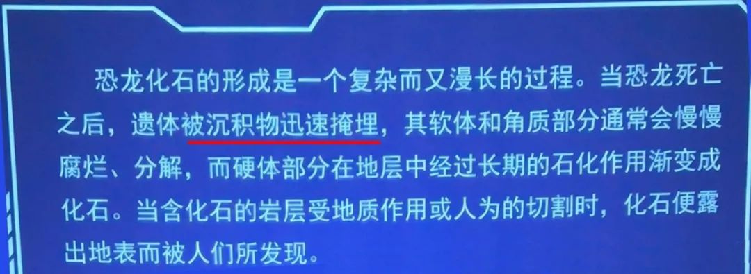 2019年广东省博物馆 恐龙化石的介绍牌：恐龙是被迅速掩埋的