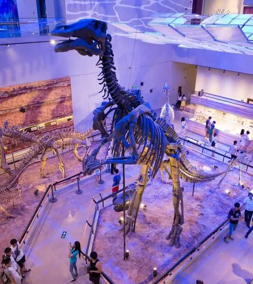 2019年广东省博物馆 展出的巨大的恐龙