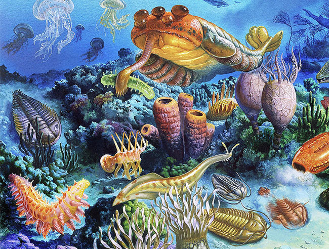 某些寒武纪生物的复原图,其中的某些种类至今仍然生存