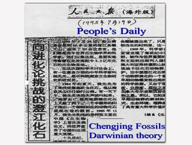 人民日报(海外版)报道截图