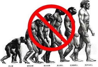 就算按照进化论者认同的猿人队列，那么起初是造猿猴，而不是起初造人