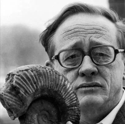 古生物学家大卫