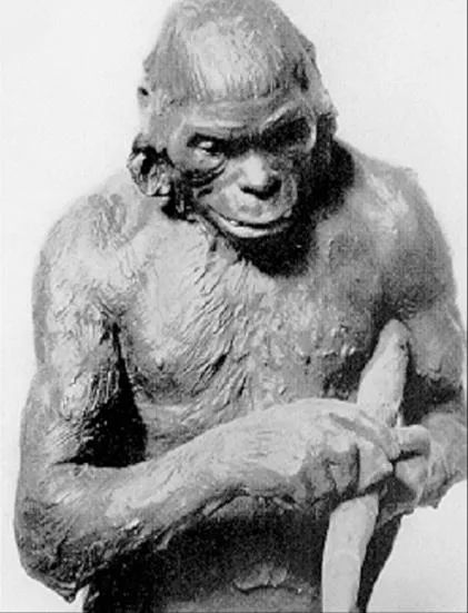 “皮尔当人”的复原图