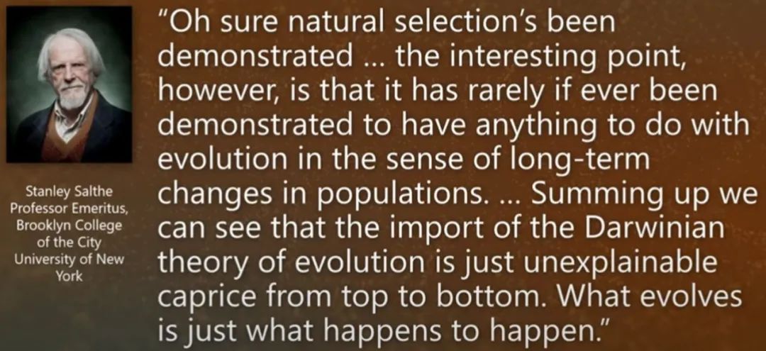 纽约市立大学布鲁克林学院的荣誉退休教授Stanley