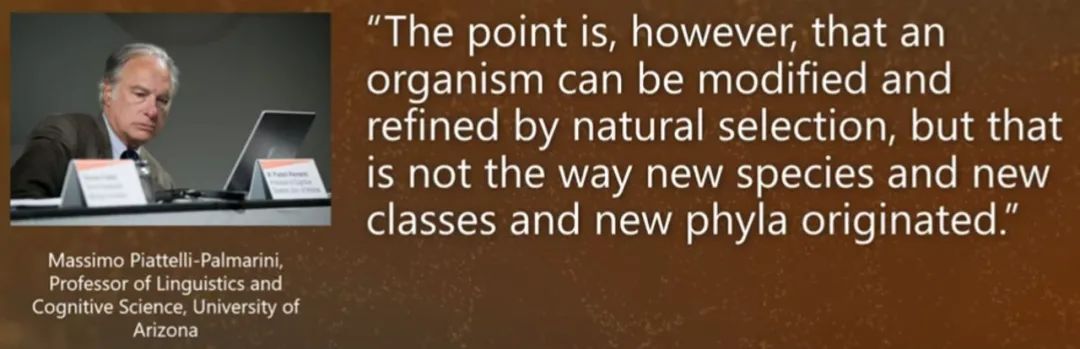 亚利桑那州大学的语言学和认知科学教授Massimo