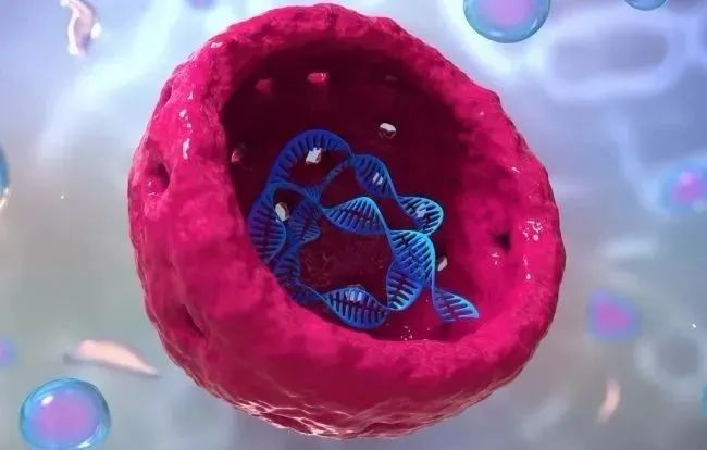 细胞内部的结构和功能非常复杂，不可能来自进化