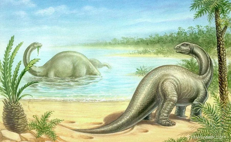 恐龙的惬意生活