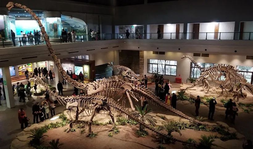 自贡恐龙博物馆展厅