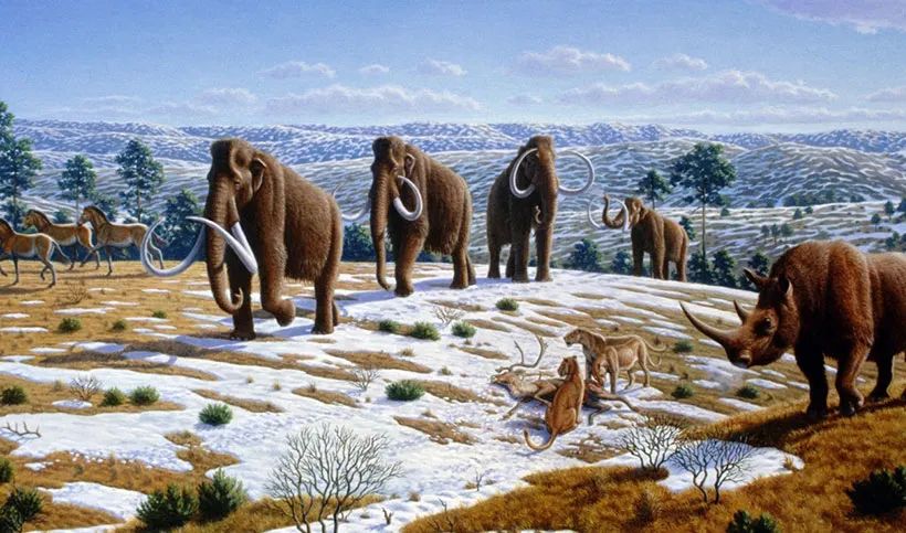 在地球的冰河时期还有动物能存活