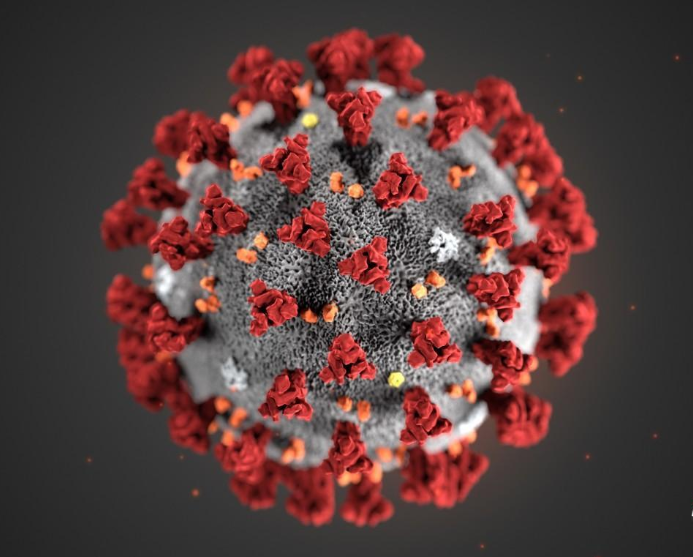 新冠病毒 新冠病毒