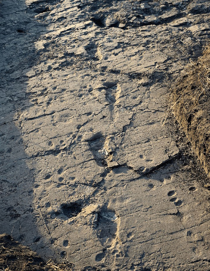 2015年在雷托里S位置发现了更大的人类脚印化石