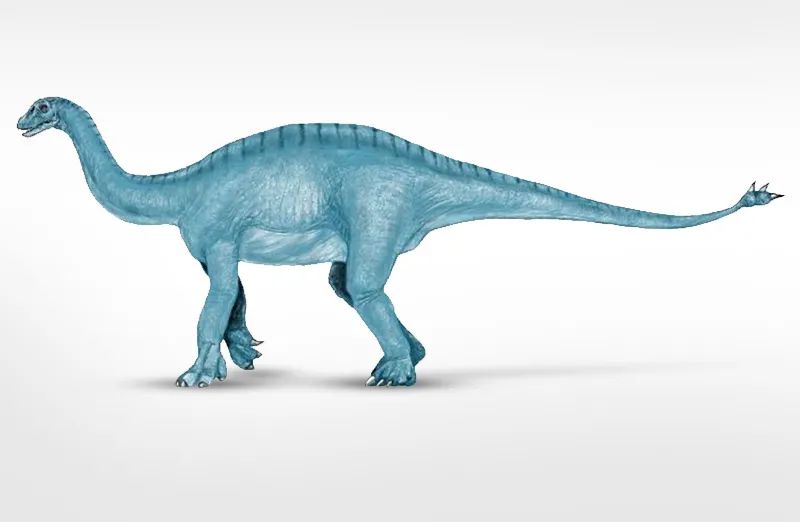 一种尾巴带刺的蜥脚类恐龙：蜀龙