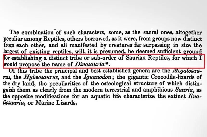 欧文在1841年的论文创造了“恐龙”一词
