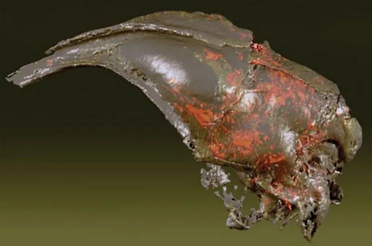 始祖鸟的大脑与现代鸟类似，存在发达的视觉皮层