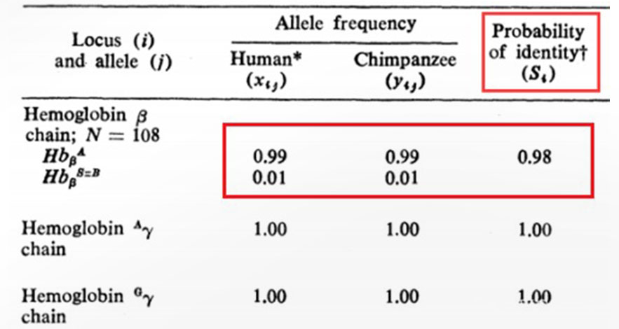 图中作者表示人与黑猩猩DNA相似度高达99%