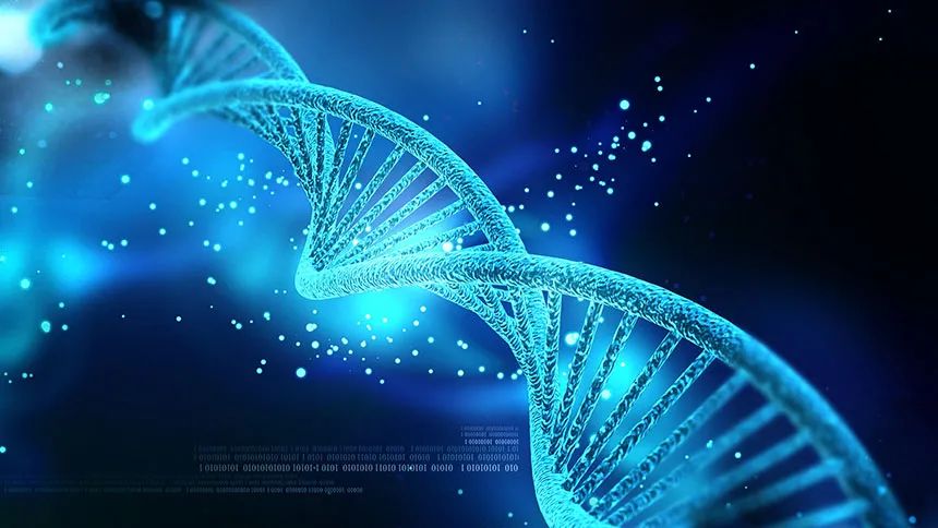 双螺旋结构的DNA长链